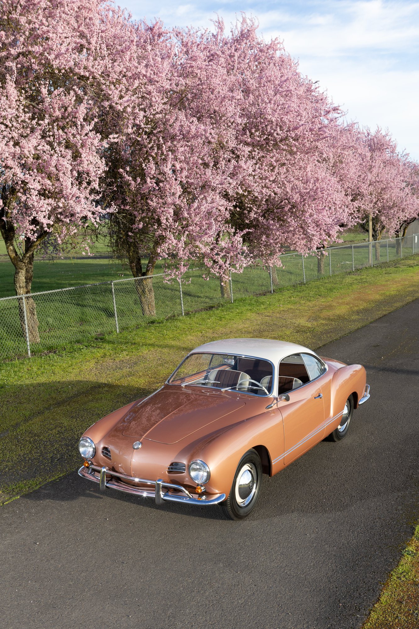 Gene Langen's 1958 Ghia by the House of Ghia