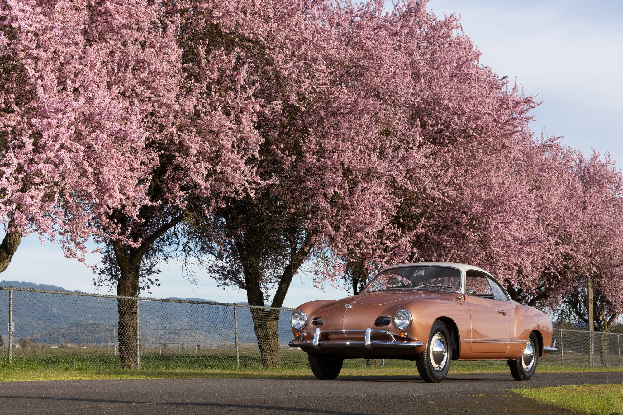 The Paul Iozzio-applied Cognac and Beige Grey paint shines against a backdrop of cherry blossoms.