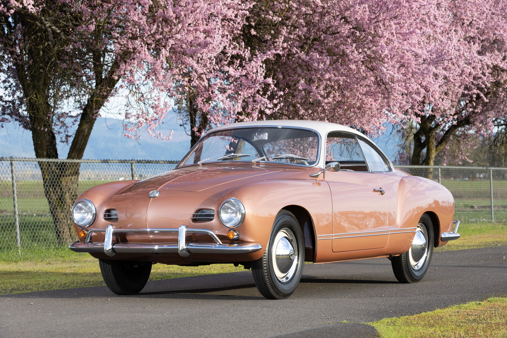 The lower placement of the headlights and smaller grille openings give the 1958 Lowlight a sleeker appearance.