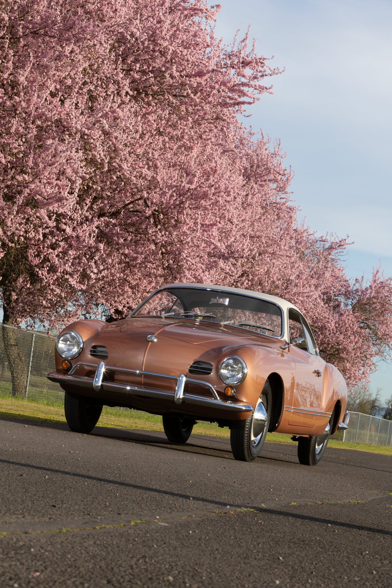 The Paul Iozzio-applied Cognac and Beige Grey paint shines against a backdrop of cherry blossoms.